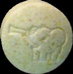 Elephant sample 2019