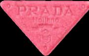 Prada Holland sample 20343