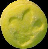 Yellow Fleur-de-lis sample 2048