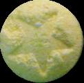 Yellow Star sample 2055