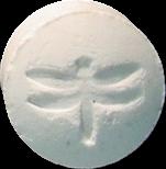 Dragonfly Pokeball sample 2065