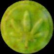 Leaf sample 2129