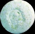 Ghost sample 2145