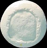 Pacman Ghost sample 2170