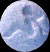 Blue G Lady sample 2193