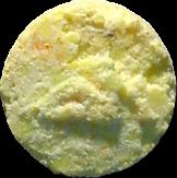 Yellow Lady sample 2271