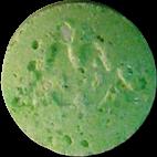 Green Ladies sample 2276