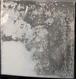 4-Flouroamphetamine sample 2285