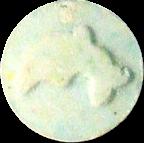 Dolphin sample 2299