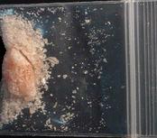 Pink Molly sample 2320