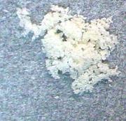 4-Methoxy-PCP sample 2339