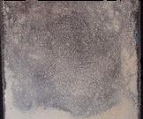 JTE-907 sample 2364