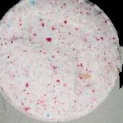 Dolphin sample 2379