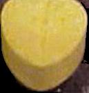 Heart sample 237