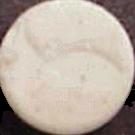 Fish sample 239