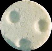 Turqoise Bowling sample 2405