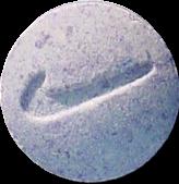 Purple Nike sample 2406