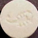 Scorpion sample 241