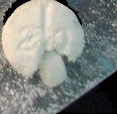 AD20 sample 2428