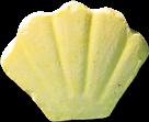 Shell sample 2430