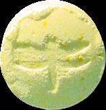 Yellow Dragonfly sample 2444