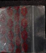 Sugar Molly sample 2500