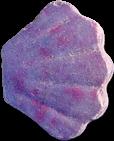 Purple Seashell sample 2518
