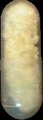 Sesam sample 2547