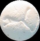 White Puma sample 2562