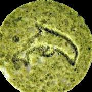 Dolphin sample 2576
