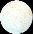 White sample 2583