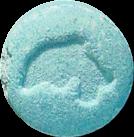 Blue Dolphin sample 2587