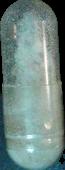 Molly 52916 sample 2603