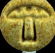Mushroom sample 2643