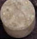 Fish sample 266