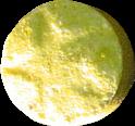 Yellow Rockstar sample 2755
