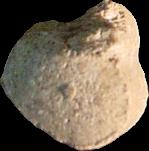 Brown 3D Heart sample 2780