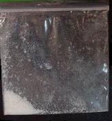 MMM sample 2842