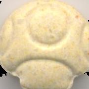 Mushroom sample 2870