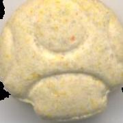 Mushroom sample 2903