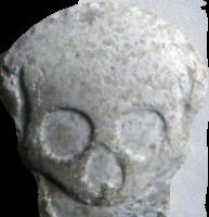 Skull sample 2906