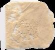 F1 (polvo Marron) Legal High pill — lab-tested sample