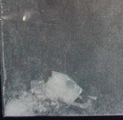 Molly Sauoy sample 2954