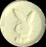 Playboy Bunny sample 2965