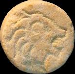 Lions sample 2998