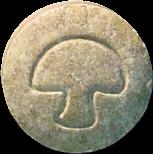 Brown Mushroom sample 3002