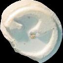 Rubber Ducky sample 3003