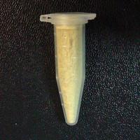 Eppendorf Tube lab-tested pill