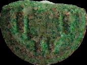 Green Android sample 3079
