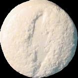 White Lightning Bolt sample 3194